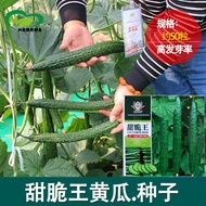 Sweet Crispy King Cucumber Seeds Farmland Vegetable Garden Middle Early Ripe No Bitter Meat Crispy T
