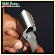 ขายอุปกรณ์บอนไซ คีมท้องเรือปากตรงใหญ่ 11.5 นิ้วสแตนเลส bonsai tools branch cutter straight edge stai