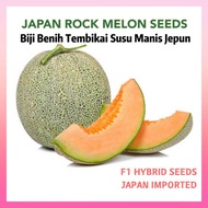 3 seeds Japan Rock Melon Biji Benih Tembikai Susu Manis Jepun F1 Hybrid
