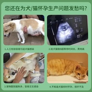 Quick Card Cat Test Paper Test Pregnant Pet Cat Test Stick 4.25 Pregnant Dog Dog Test Paper Test Scr
