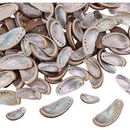 WEBEEDY 40 PCS Natural Green Donkey Ear Abalone Shells Oyster Sea Shell 5-7 cm/1.97-2.76" Natural Po