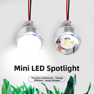 XIXIANGZI | Constant Voltage DC LED Light Bulb 24V