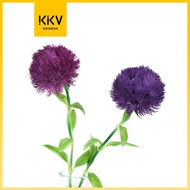 kkv sladko dianthus tanaman bunga hias artifisial yellow - purple