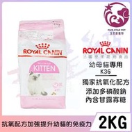 ☆五星級寵物☆法國皇家ROYAL CANIN，幼母貓專用(K36)，2kg