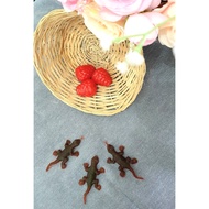 BPP R-MNN Rubber gecko prank toy cicak mainan getah