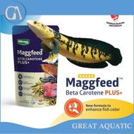 Dried Maggot Predatory Fish Feed Channa MAGGFEED 100 GR Bon