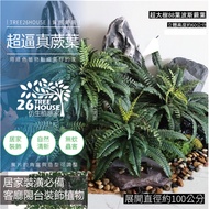 [Super Realistic Fern Leaves] Supermarket Large Persian Leaves Super Giant Vine Green Home Decoratio