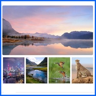 ℗ ✙ ♟ Monocular telescope airgun telescope for hunting airgun telescope for hunting High-power Tele