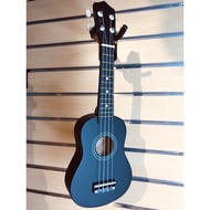 21 Inches Colour Ukulele