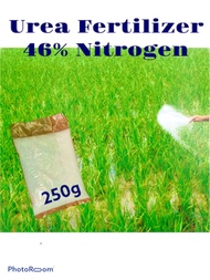 Urea Fertilizer 46% Nitrogen 250g. (Repack)