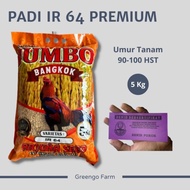 TOP! Benih Padi Varietas IR64/ IR 64 Super Jumbo 5Kg