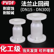 限時下殺國標PVDF法蘭立式止回閥化工閥門水管球型單向閥逆止閥開關DN100