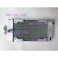 Motorcycle Engine Parts Water Cooler Radiator For Regal Raptor DD250E-9A DD250E-9B DD250G-2N DD350E-