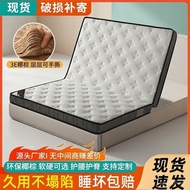 Brown Mat Palm Mat Natural Hardened Waist Support Coconut Palm Home Mattress Foldable Spine Protecti