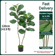 Artificial Fiddle Leaf Fig Tree | Realistic Faux Ficus Plant for Living Room & Office Decor