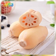 Akar Teratai Lotus Root 0.9 - 1 Kg