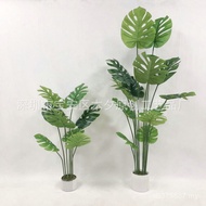 Bonsai Monstera Manufacturer Cross-Border Ornaments Fake Monstera Monstera Monstera Monstera Monster