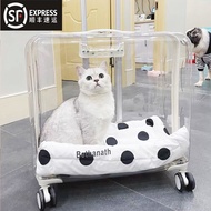 Dog Luggage Cat Bag Portable Space Capsule Transparent Cat Stroller Pet Trolley Bag Large Cat Cage