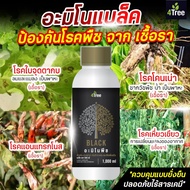 (Amino Black)4Tree อะมิโนแบล็ค 1000 ml. จุลินทรีย์สำหรับพืชสร้างแป้ง สูตรป้องกันเชื้อราและต้านทานโรค