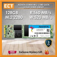 ADATA SU800 M.2 SATA 128GB/256GB/512GB Solid State Drive SSD