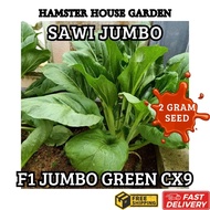 HSK F1 HIBRID CAIXIN SEED / SAWI JUMBO GREEN CX9 / SAWI GIANT / BIJI BENIH SAYUR