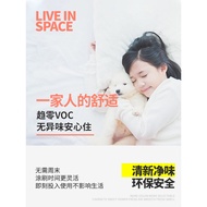 Calorie Interior Art Paint Paint Wall Paint Art Paint TV Background Wall Latex Paint Paint Eggshell 