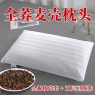 Wholesale Source Buckwheat Shell Neck Pillow Adult Pillow Adult Pillow Buckwheat Factory Pillow One 