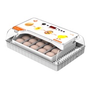 20pcs Chick Incubator Small Intelligent Egg Incubator Home Egg Hatching Breeding Equipment Poultry Brooder Tool 孵化器