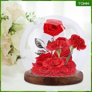 [Wishshopehhh] Glass Cloche Globe Dustproof Glass Cover Decorative Terrarium Home