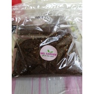 Cactus & Succulent Soil Mix - 1KG