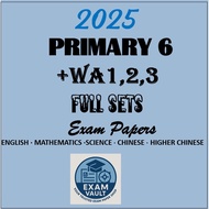 2025 Primary 6 Top School Past Year Exam Papers | P6 Prelim/WA Only | PSLE Format