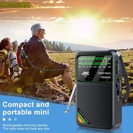 PIXELHIVE​ FM AM SW Radio, HD Display Screen Type-C Rechargeable Battery Operated Radio, Durability 