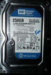 WD 3.5吋硬碟250GB WD2500AAJS-22L7A0 250G藍標SATA硬碟7200轉非320G 200G