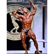[Mainland Shipping] Fitness Bodybuilding Competition Pants Briefs Muscle Men Competition Dedicated B