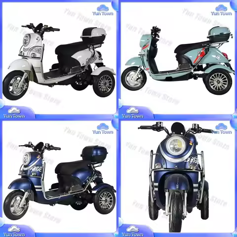 New Style Tricycles 1000W 3 Wheel Electric Motorcycle Scooter for Adults for Electric Vehicle Access