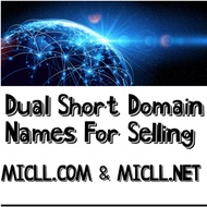 MICLL.COM & MICLL.NET Domain Names Any Niche Website