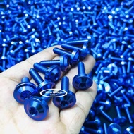 10 con Ốc Titan GR5 Đầu Dù 6li 2 Xanh Tím (Titan 100% )