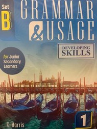 Grammar & Usage Developing Skills 1
