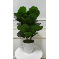 🇲🇾🔥POKOK HIASAN FIDDLE FIG ARTIFICIAL PLANT PREMIUM