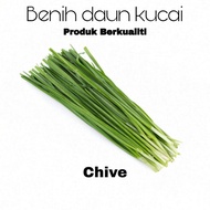 BENIH DAUN KUCAI BERKUALITI