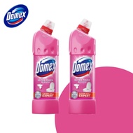 Domex Toilet & Bathroom Cleaner (500ml x 2)