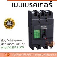 รุ่นขายดี เบรคเกอร์ งานไฟฟ้า SCHNEIDER เมนเบรกเกอร์ 100 A 30 KA EZC100H3100T สีดำ ตัดไฟ ป้องกันไฟดูด