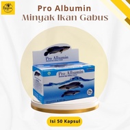 Pro albumin Ekstrak Ikan Gabus | pil ikan gabus pasca operasi kapsul ikan gabus yg ori ikan gabus