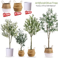 [SG STOCK] Artificial Plant Olive Tree Medium Size Fake Plant Home Decor Fake Tree Artificial Fiddle
