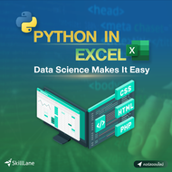 Python in Excel: Data Science Makes It Easy | คอร์สออนไลน์ SkillLane