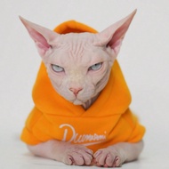 เสื้อกันหนาวแบบบุซับใน เหมาะสำหรับแมว Sphynx, Devon Rex, Abyssinian, Cornish Rex, Manx ในฤดูใบไม้ร่ว