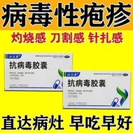 Virus Causing Infection Male Female Generation Herpes Concentrated Herpes Pseudo-like Herpes Blister