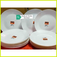 ◨ ✲ ⚾︎ Onhand Arcopal dinner plates 9.75 inches Made in France