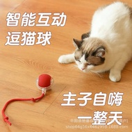 Cat Toy Ball _ Loki Store