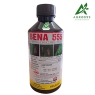 1L Bena 555 / Bena Hijau / Bena Perang / Pianggang / Belalang / Lelompat Daun / Kutu Beruang